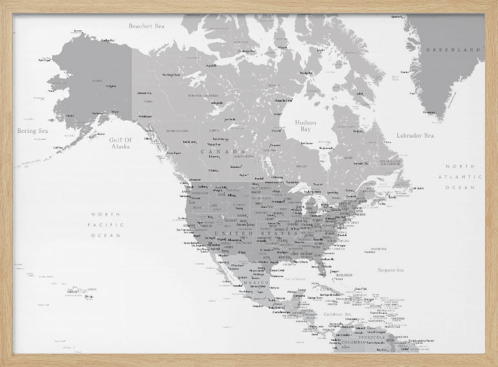 Gray map of North America with cities Poster