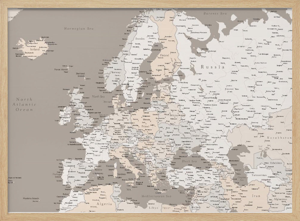 High detail map of Europe in neutrals Poster