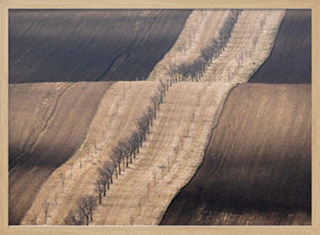 Moravian fields Poster