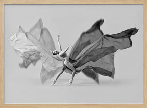 Balerina Butterfly Dance Poster