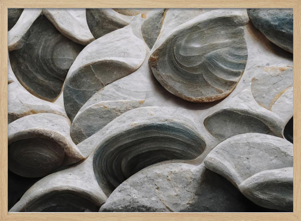 Sea Shells Detail No 5 Poster