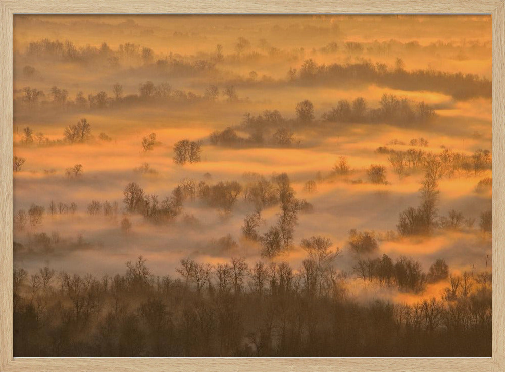 Morning mists Poster