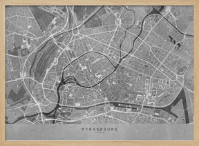 Gray vintage map of Strasbourg downtown France Poster