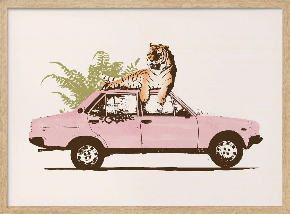 Tiger On Car Poster