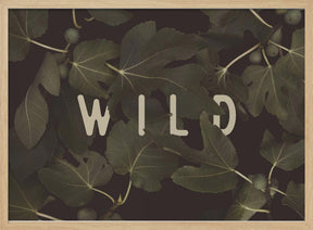 Wild Nº1 Poster