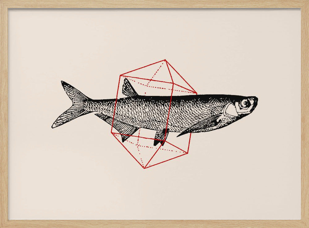 Fish In Geometrics Nº2 Poster