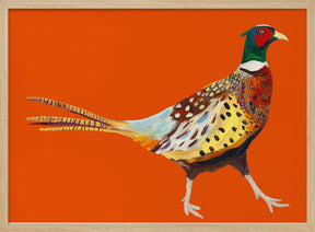 Strutting Pheasant On Orange Poster