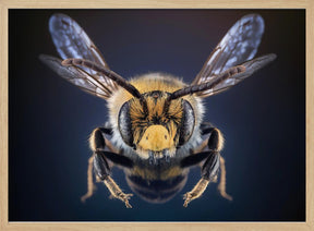 WildBee Poster