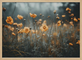 Orange Poppy Poster