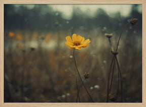 Yellow Flower Poster