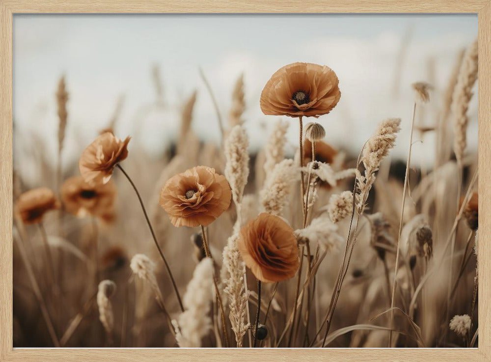 Orange Poppy Field Poster