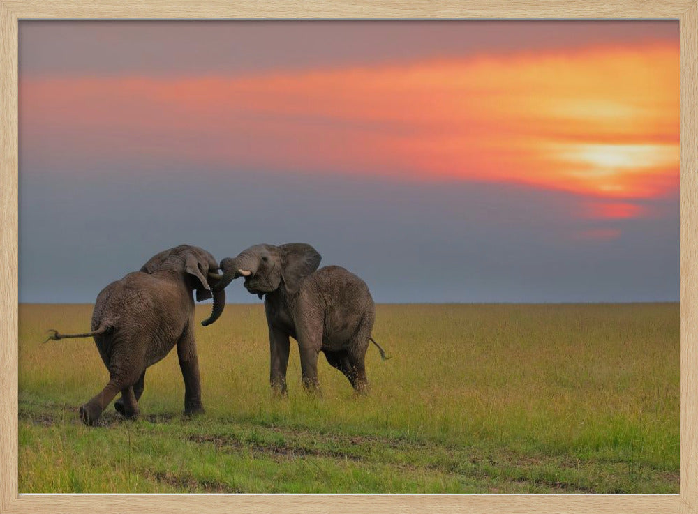 Dancing at The Sunset Poster