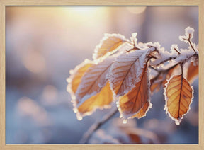 Winter Impressions No 10 Poster