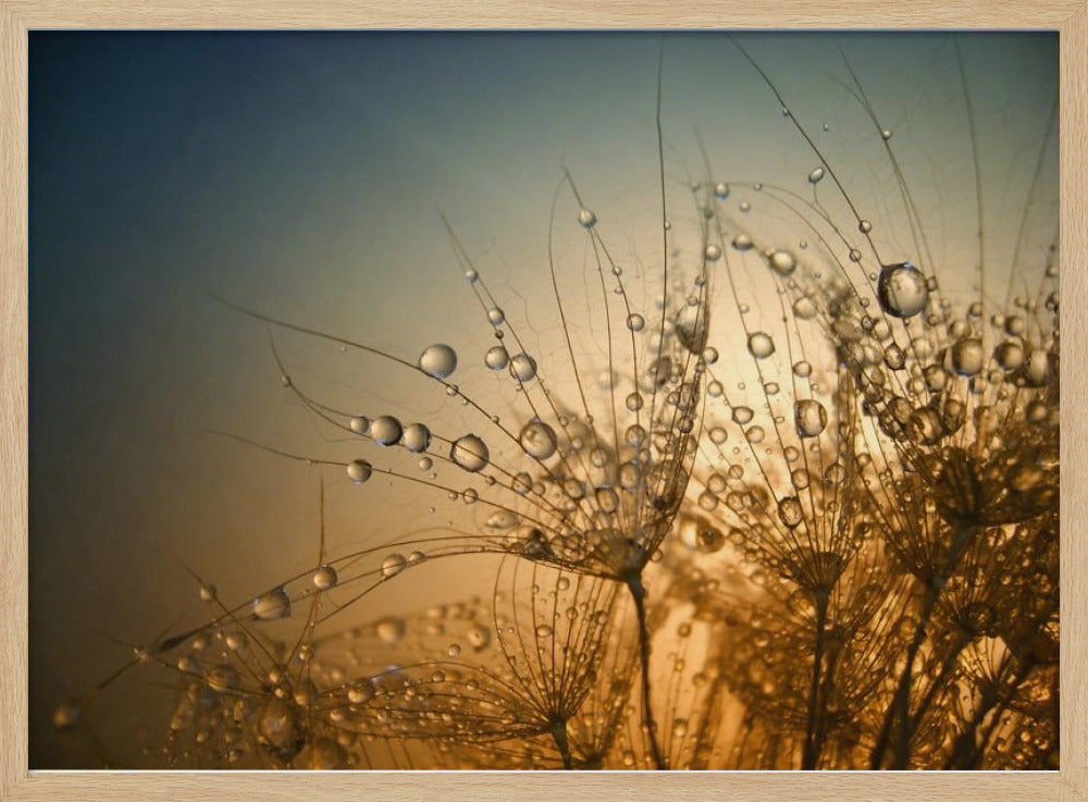 Tender is the Night Poster