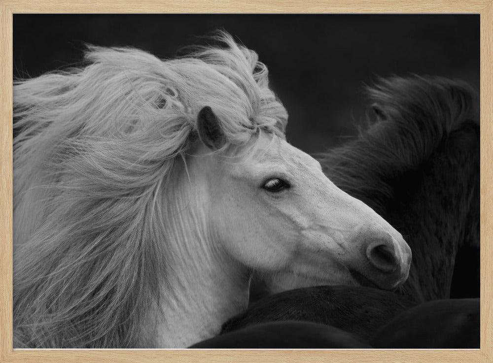 Bad Hair Day Poster