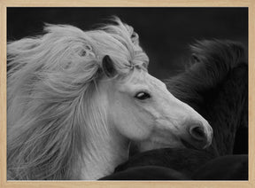 Bad Hair Day Poster