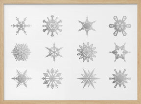 Twelve geometric snowflakes in gray Poster