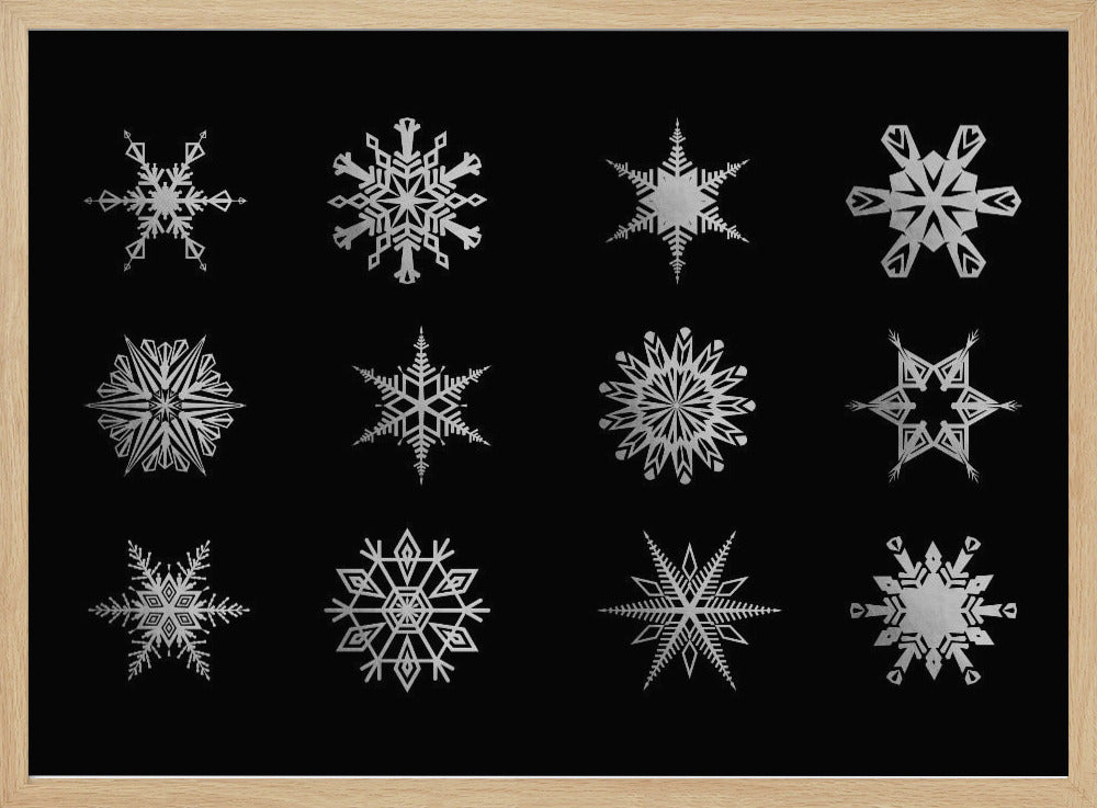 Twelve geometric snowflakes in black Poster