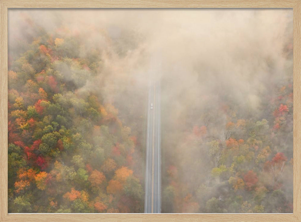 Road through Autumn Forest Poster