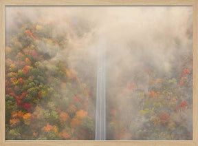 Road through Autumn Forest Poster