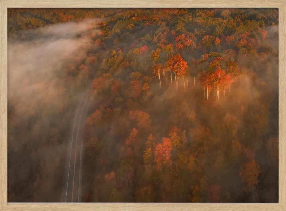 Into the Fog Poster