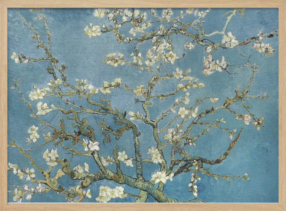 Vincent Van Gogh's Almond Blossom (1890) Poster