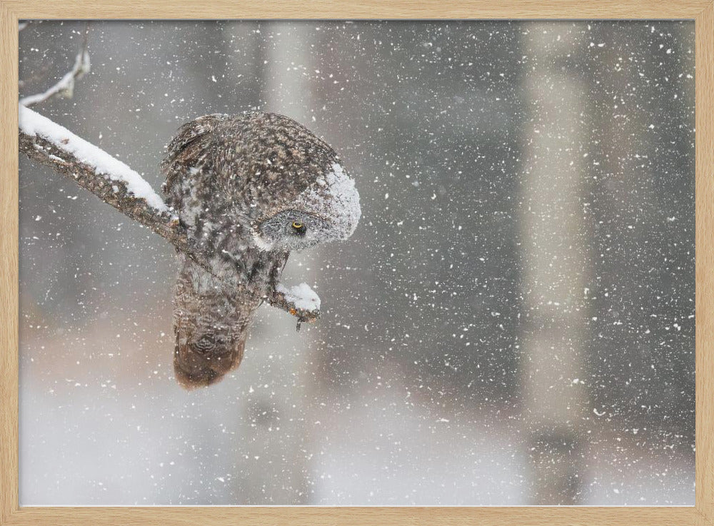 Huntting in The Snow Poster