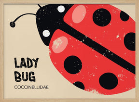 Lady Bug Poster