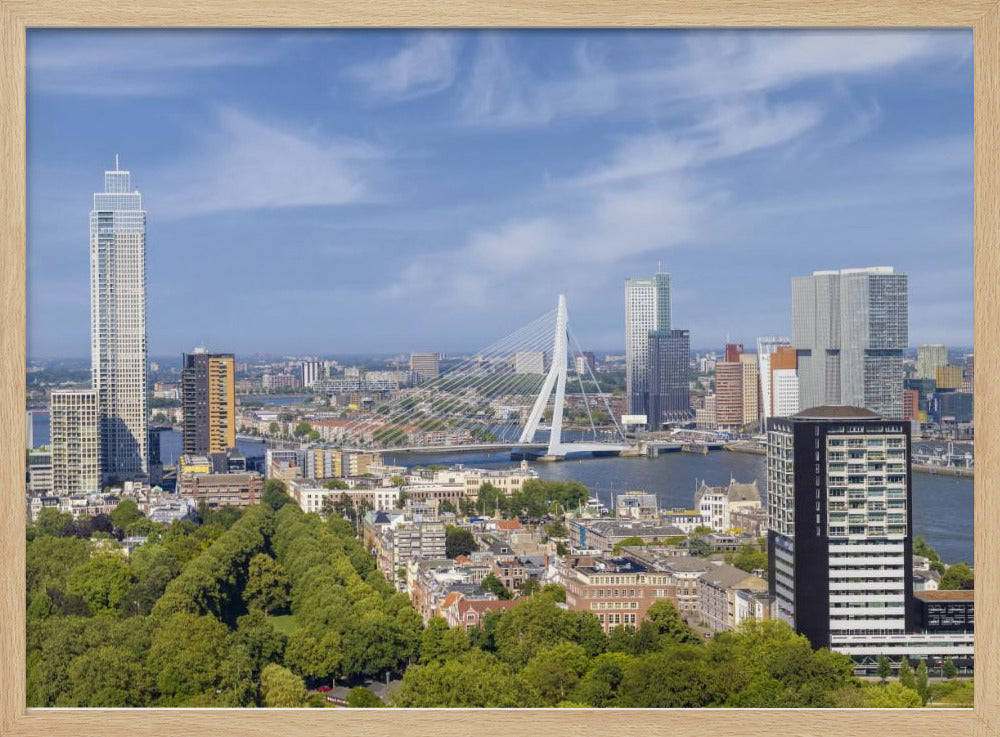 Unique Rotterdam panorama seen from the Euromast Poster