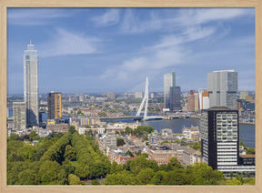 Unique Rotterdam panorama seen from the Euromast Poster