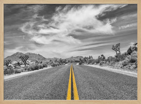 Park Boulevard, Joshua Tree National Park Poster