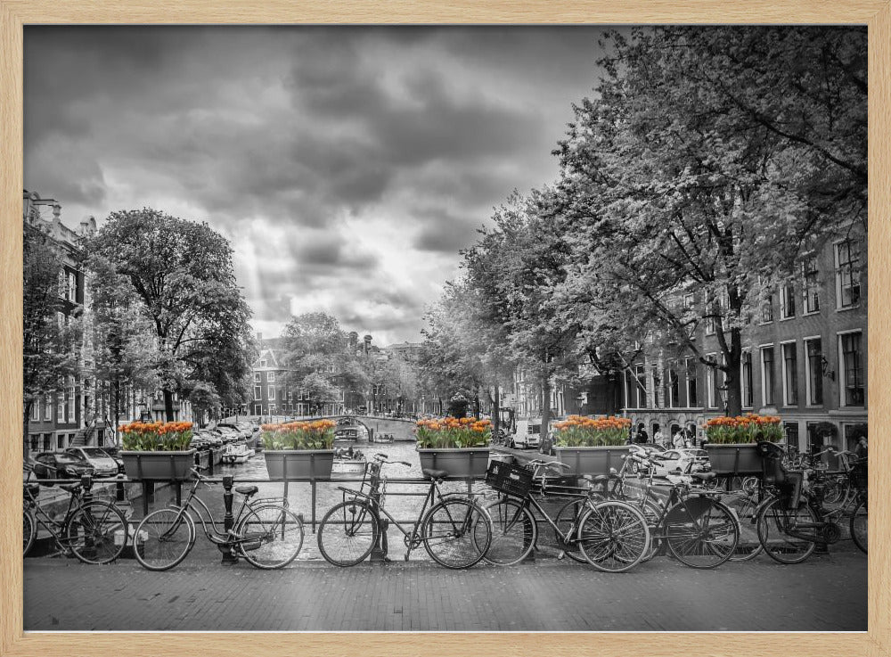 Typical Amsterdam Poster