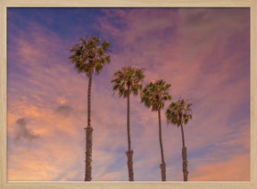 Palm trees - Idyllic sunset Poster