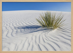 WHITE SANDS Idyllic scenery Poster