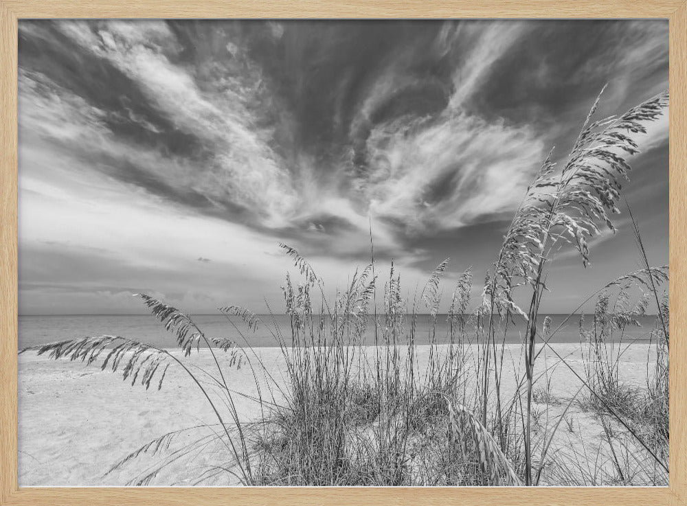 Heavenly calmness on the beach - monochrome Poster