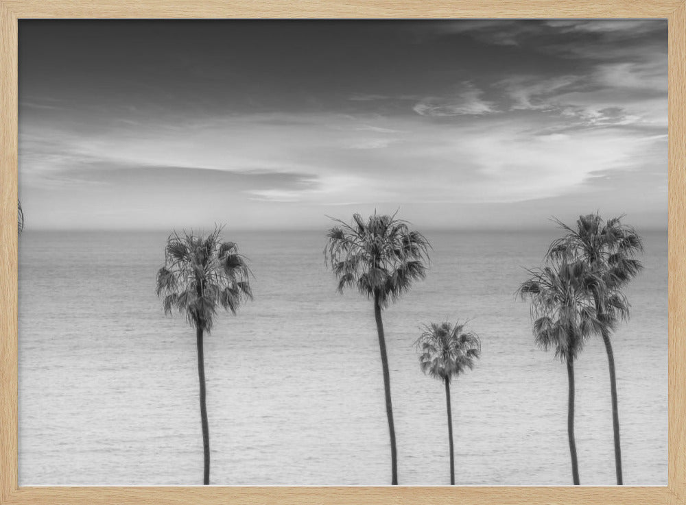 Lovely Palm Trees at the Ocean | monochrome Poster