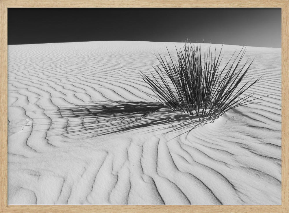 WHITE SANDS Idyllic scenery | Monochrome Poster