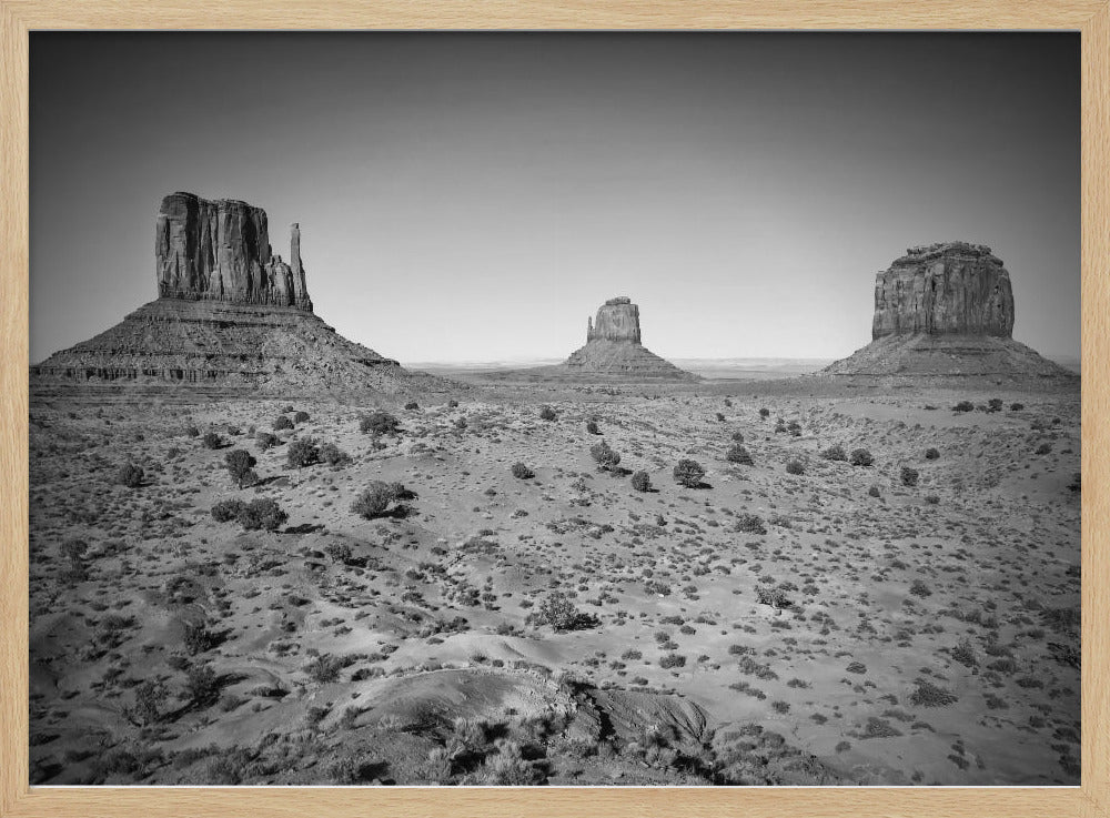 Monument Valley | Monochrome Poster