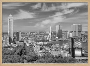 Unique Rotterdam panorama seen from the Euromast | Monochrome Poster