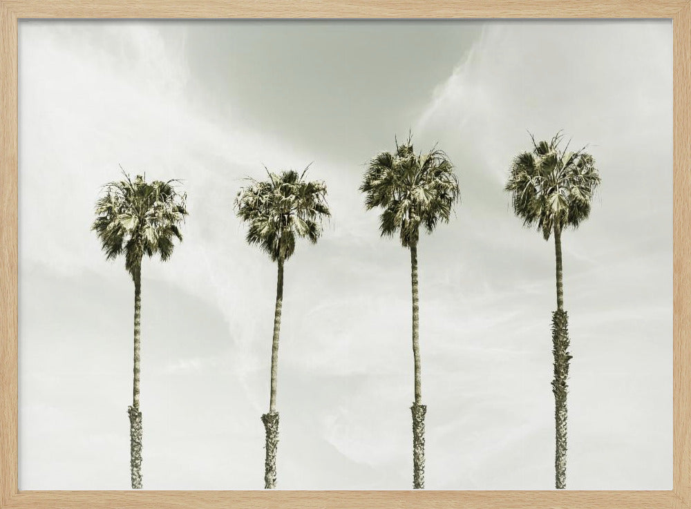 Palm Trees at the coast | Vintage Poster