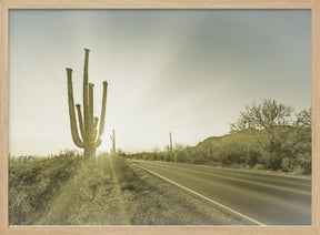 SAGUARO NATIONAL PARK Setting Sun | Vintage Poster