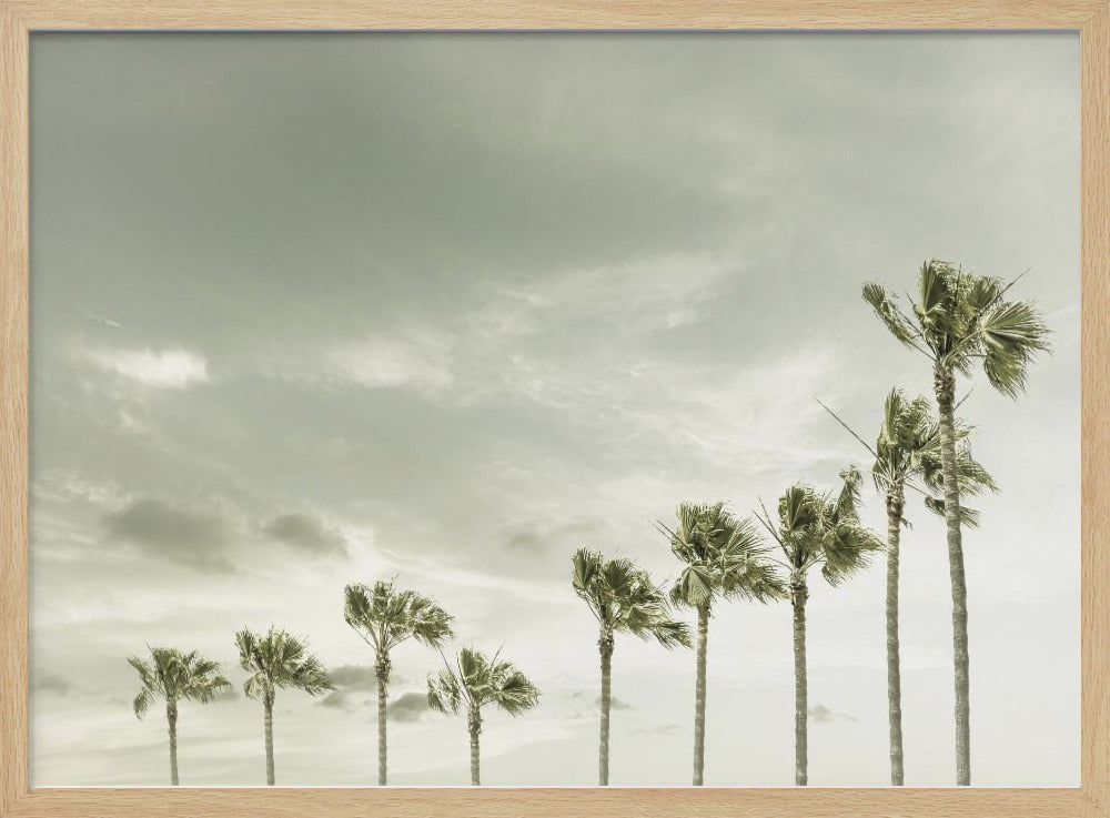 Vintage Palm Trees at the beach Poster