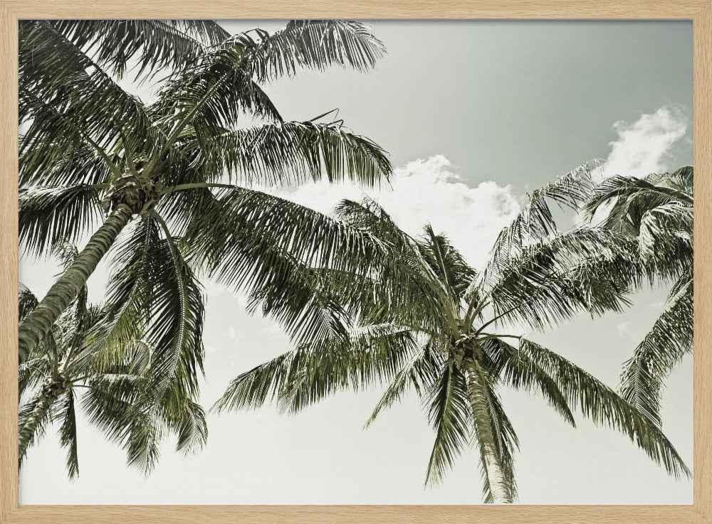 Vintage Palm Trees Poster
