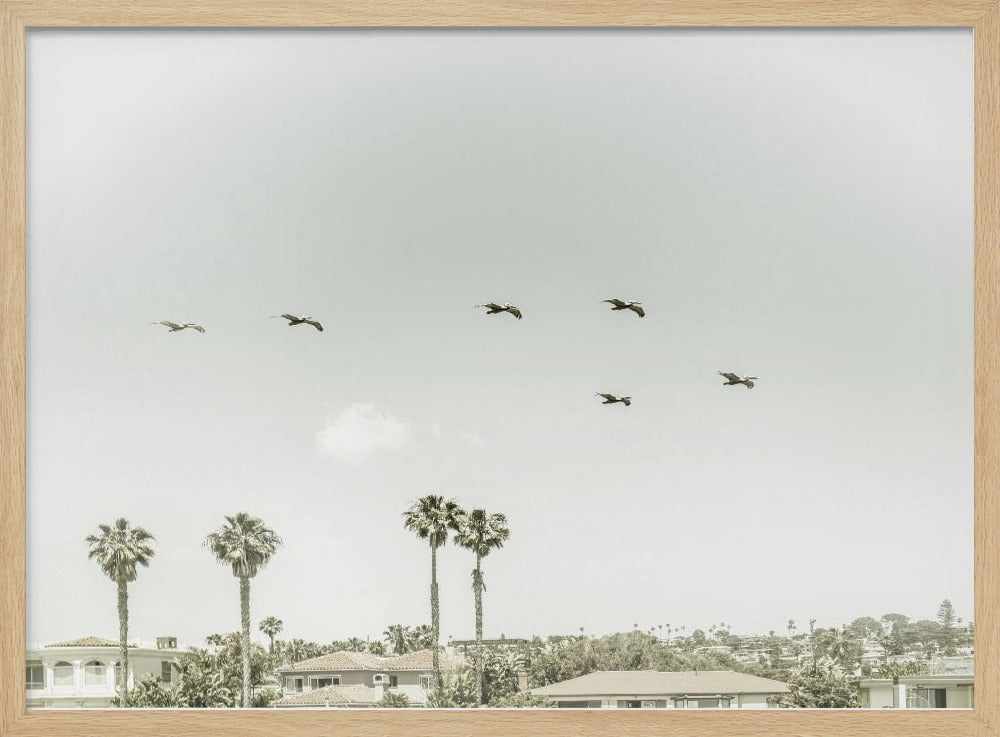 Above the rooftops of San Diego Poster