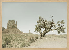 MONUMENT VALLEY Vintage West Mitten Butte and Tree Poster