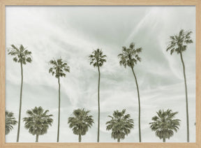 California vintage palm trees Poster