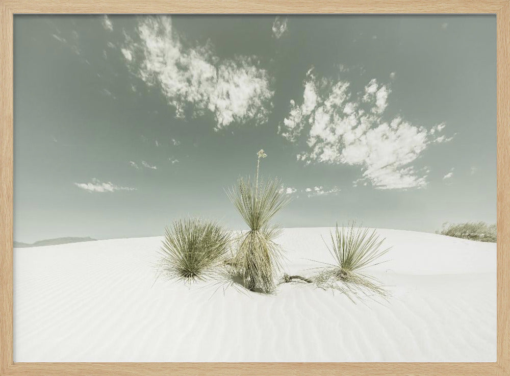 WHITE SANDS Vintage Poster