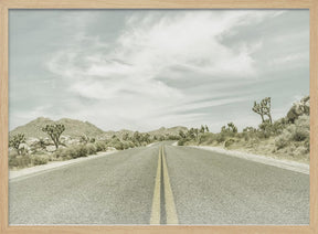 Vintage Joshua Trees, Park Boulevard Poster