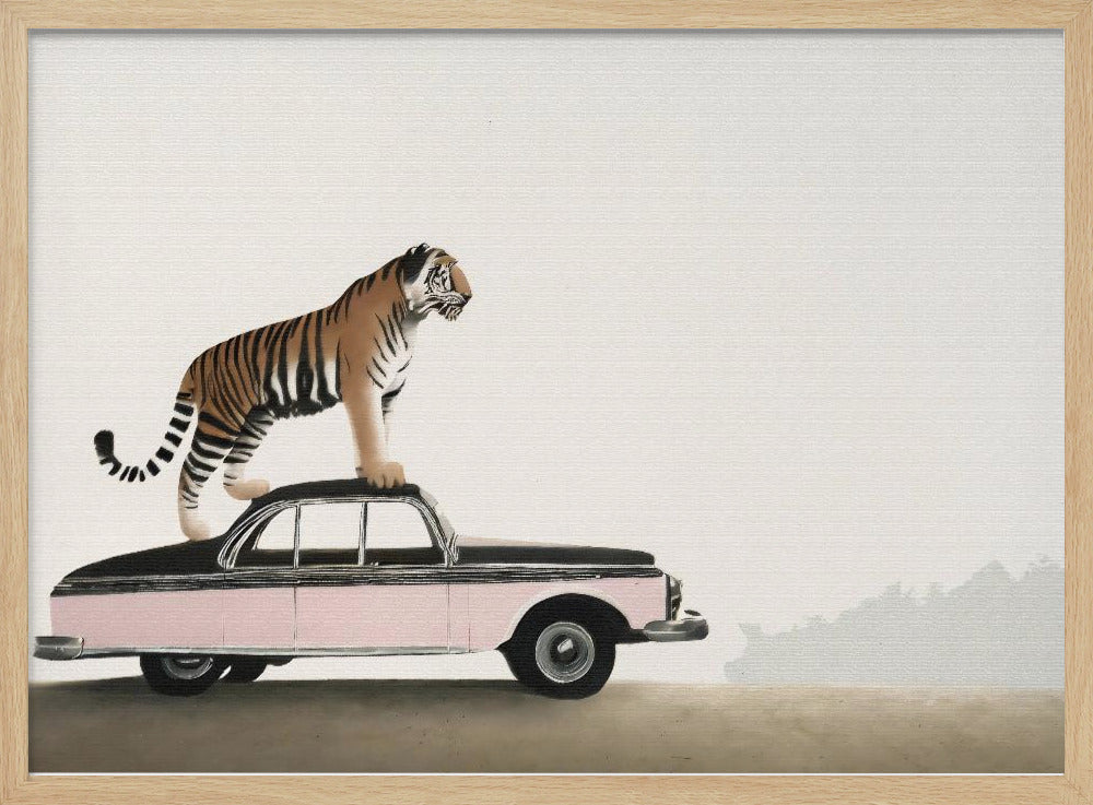 Tiger om a car roof Poster