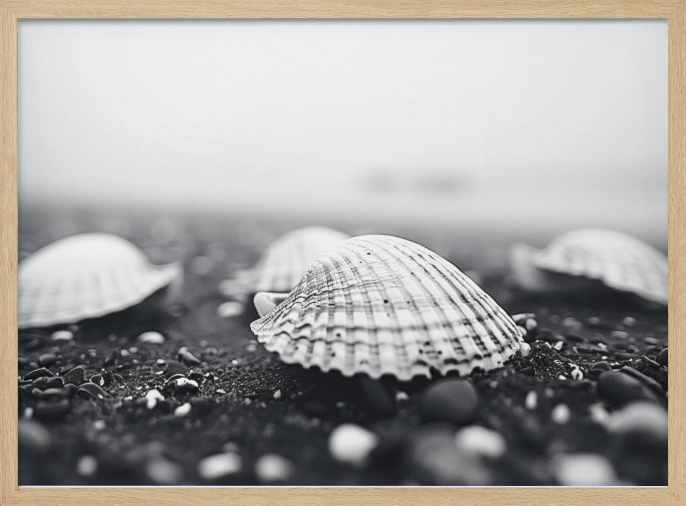 Monochromebeachimpressionsno1 Poster